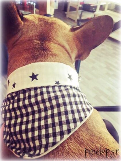 Μπαντάνα καρό με αστεράκια