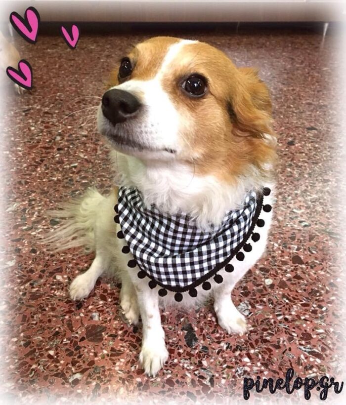 Μπαντάνα καρό με φουντίτσες