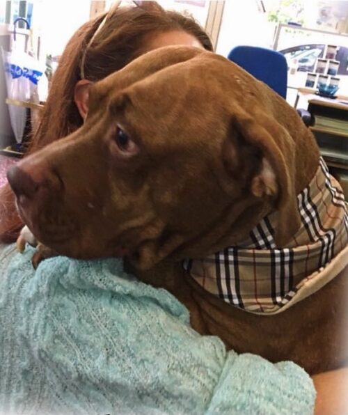 Μπαντάνα διπλής όψης από βαμβακερό ύφασμα