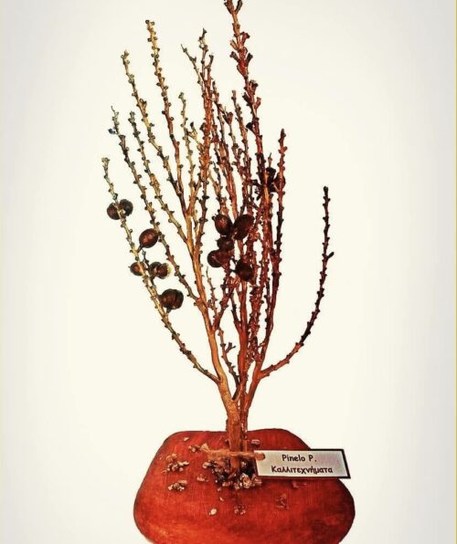 Ειδική παραγγελία διακοσμητικό δεντράκι