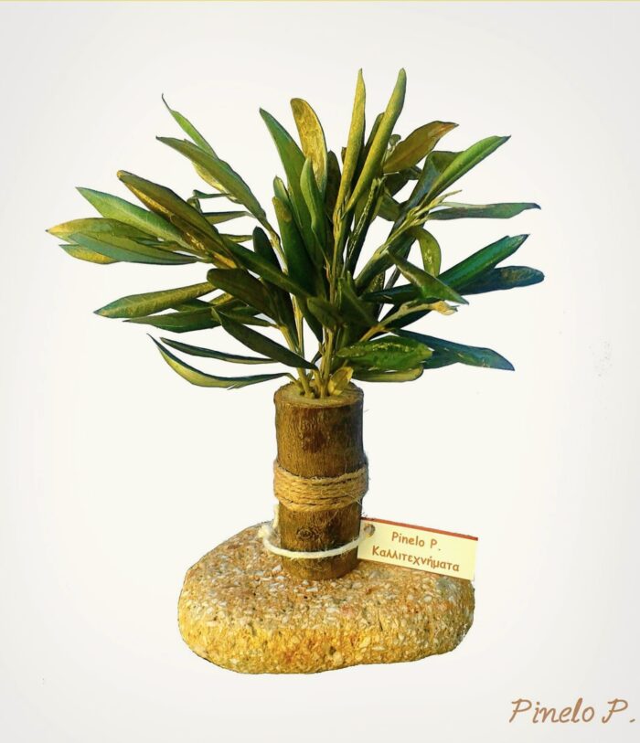 Ειδική παραγγελία δεντράκι ελιάς